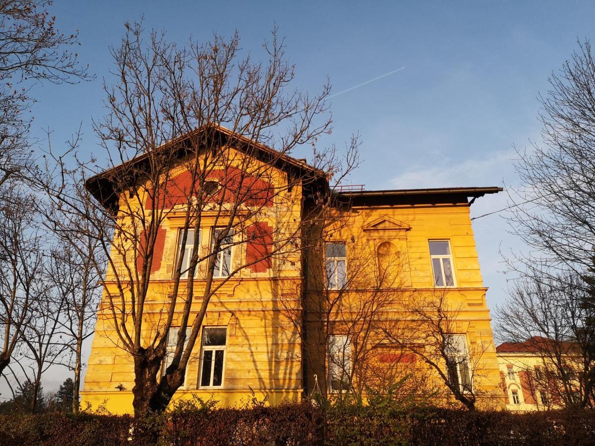 Unique Vila Veselova, Ljubljana City Center Buitenkant foto